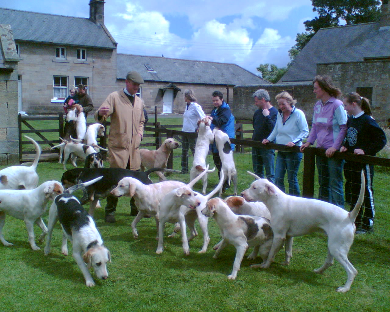 Visit to Morpeth Hunt Kennels